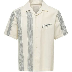 ONLY & SONS Overhemd Seio Regular Fit