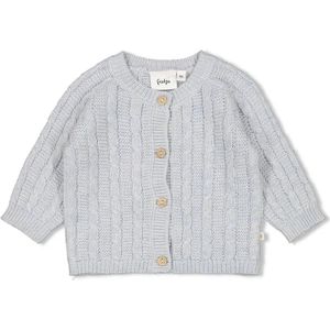 FEETJE Vest Gebreid The Knits