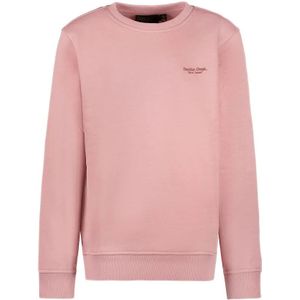 Cars - Sweat 3226562 - Vest - Roze
