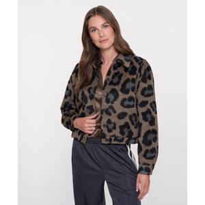 Geisha - Jack Leopard - Bruin - Jassen
