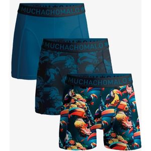 Muchachomalo Boxer Toucan 3-Pack