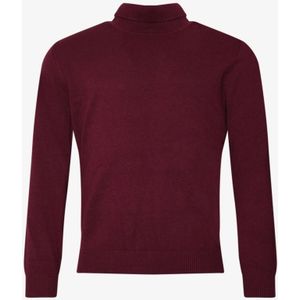 Singore Forte Coltrui Dex