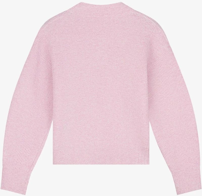 Malelions - Geborduurde Knit Sweater - Lichtroze