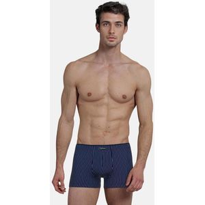 Tom Tailor Boxer Gestreept