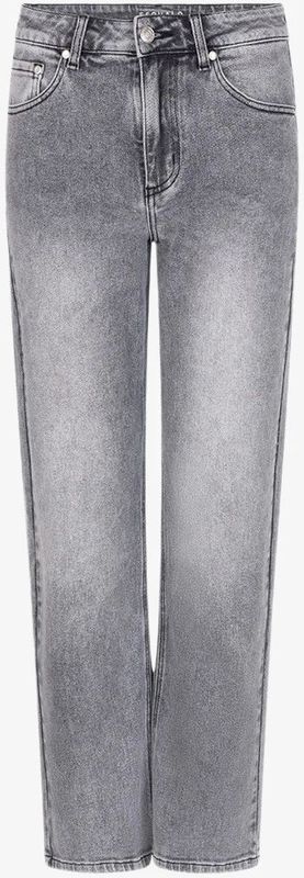 Jeans - Grijs - Straight Leg