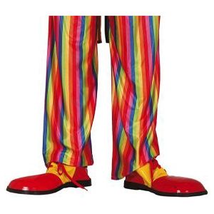 Clown Schoenen