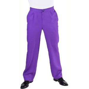 Pantalon Recht Paars