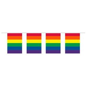 Vlaggenlijn rainbow (10 meter)