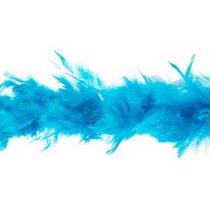 Boa Turquoise (2m)