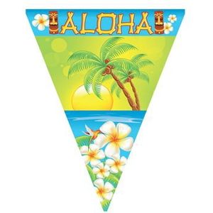 Vlaggenlijn Aloha (5 meter)