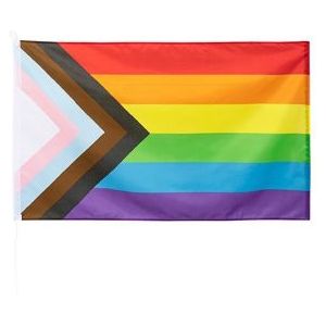 Progress Pride Vlag (90 x 150 cm)