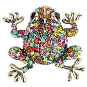 Luxe Broche Strass Kikker Multicolor