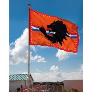 Oranje Leeuw Vlag XL (300x200 cm)
