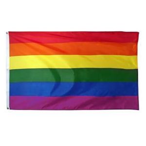 Regenboog vlag (90 x 150 cm)