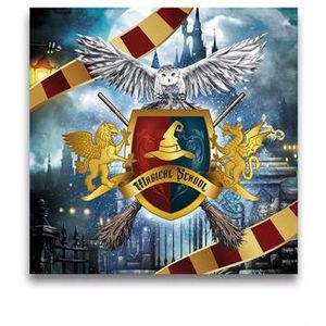 Harry Potter Servetten (12 stuks)