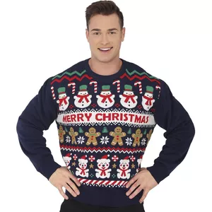 sweater kersttrui heren hema