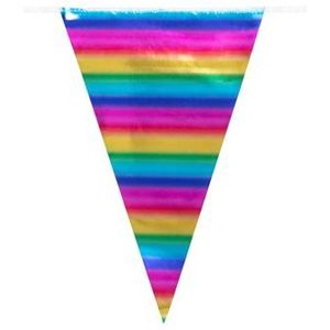 Vlaggenlijn Rainbow (10 meter)