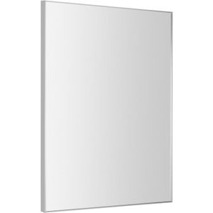 Sapho Arowana spiegel 60x80 chroom