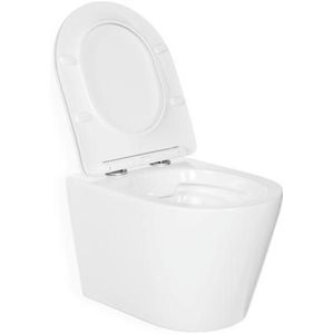 Blue Label Odin rimfree verkort toilet met zitting 49 glanzend wit
