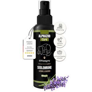 Seelenruhe Spray 100ml
