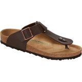 Medina - Saddle Matt Brown