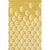 Pajaro-Ochre - 23906 - cm. - Scion