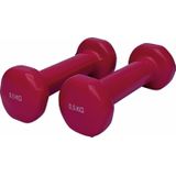 Inmotion dumbbell set 0.5 kg
