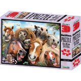 Philos 3D puzzel Stable Selfie 500