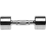 Chrome Dumbbell - 25 kg - Licht beschadigd
