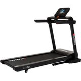 Hammer Life Runner LR22i TFT Loopband