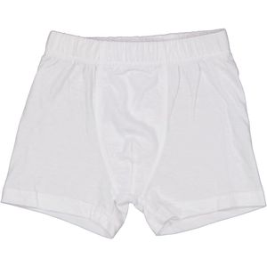Boxer - Wit