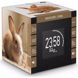 Bigben wekkerradio RR70PLAPIN