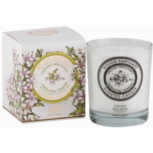 Panier des Sens Huile Essentielle Verveine Bougie Parfumée