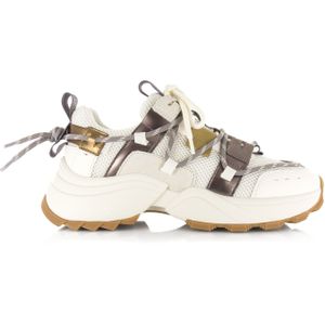 STEVE MADDEN Steve Madden - Tazmania | pewter gold Beige Synthetisch Lage sneakers Dames