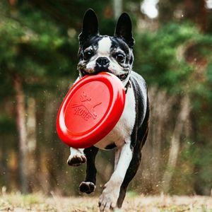 Frisbee Voor Hond Met Bacongeur van Kikkerland