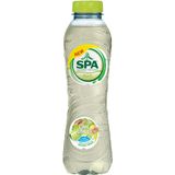 2x Spa Duo limonade limoen-gember, fles van 50 cl, pak a 24 stuks