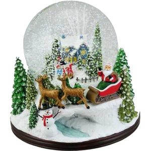 Sneeuwbol - Met winterhuis