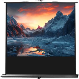 celexon projectiescherm Ultramobil Professional 200 x 150 cm