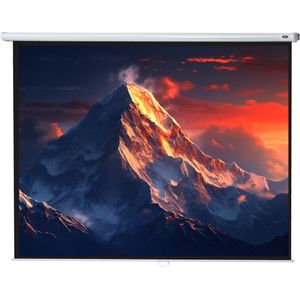celexon Rollo Economy projectiescherm 220 x 165 cm