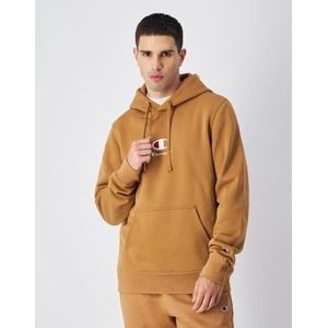 Champion Hoodie HOODED sweatshirt