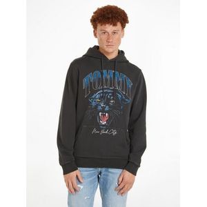 TOMMY JEANS Hoodie TJM REG PANTHER VINTAGE HOODIE