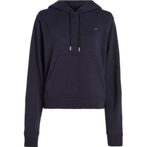 Tommy Hilfiger Curve Hoodie CRV 1985 MDRN REG P/TERRY HOODIE PLUS SIZE CURVE, met kangoeroezak