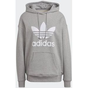 adidas Originals Hoodie ADIDAS ADICOLOR TREFOIL HOODIE (1-delig)