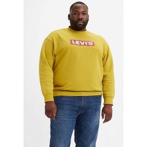 Levi's Plus Sweatshirt BIG RELAXED GRAPHIC CREW