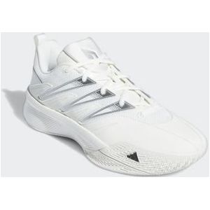 adidas Performance Basketbalschoenen DAME CERTIFIED 3 LOW