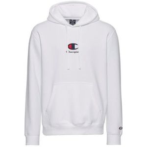 Champion Hoodie Icons Hooded Sweatshirt Central Log