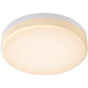 B.K.Licht Led-plafondlamp BK_DB1170 LED badkamer plafondlamp, Ø22cm, spatwaterdicht IP54, 13W (1 stuk)