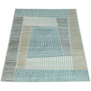 Paco Home Vloerkleed Stilo 850 Geschikt voor binnen en buiten, woonkamer