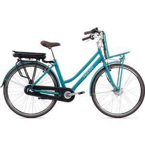 Adore E-bike Cantaloupe Bagagedrager voor