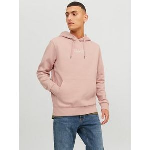 Jack & Jones Hoodie JPRBLUARCHIE SWEAT HOOD NOOS